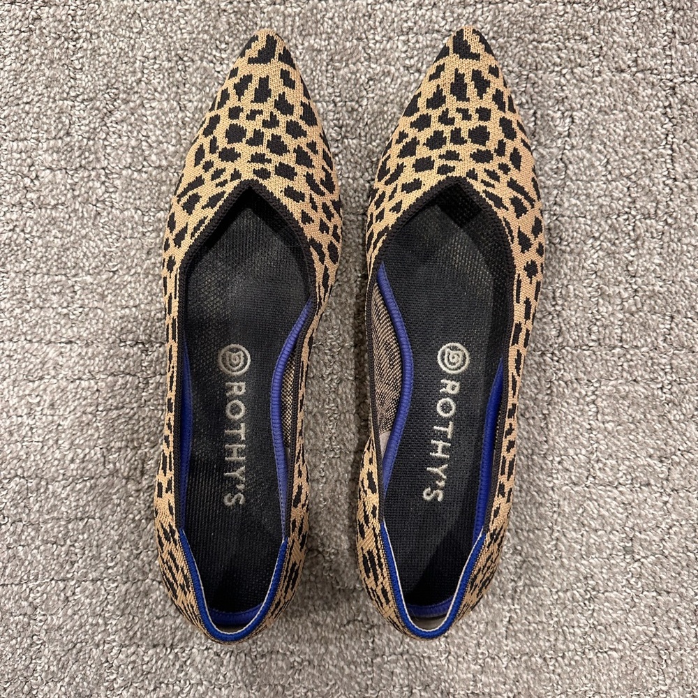 Rothy’s Pointed Flats